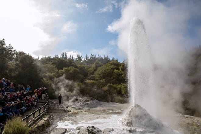 Auckland: ONE WAY TRIP to ROTORUA via Wai O Tapu, Redwood Forest and Rotorua Central Hotels Drop-off