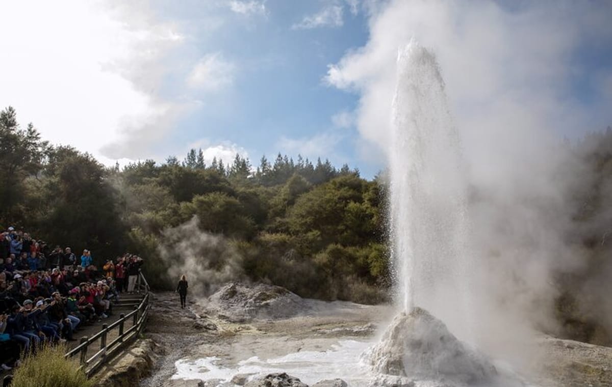 Auckland: ONE WAY TRIP to ROTORUA via Wai O Tapu, Redwood Forest and Rotorua Central Hotels Drop-off