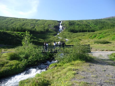 2 Hour Sightseeing Adventure, photo 3