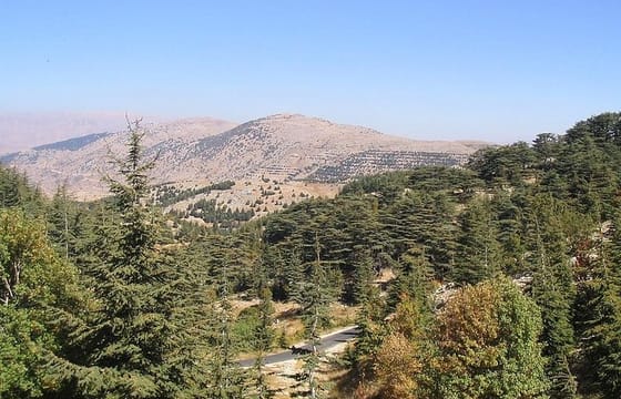 DeirElkamar, Beitdeen, Moussa Palace, EinwZien Grotto,Full-Day Trip PRIVATE-CAR