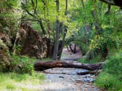 Paphos: Scenic Troodos Mountains Tour with Wine Tasting 8