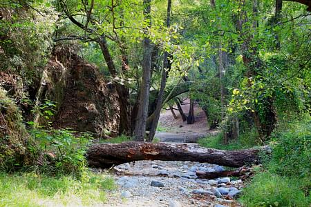 Discover the Charm of Troodos Mountains and Paphos