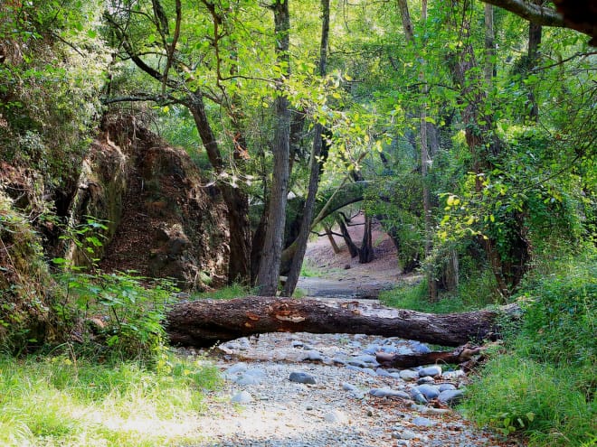 Paphos: Scenic Troodos Mountains Tour with Wine Tasting 8