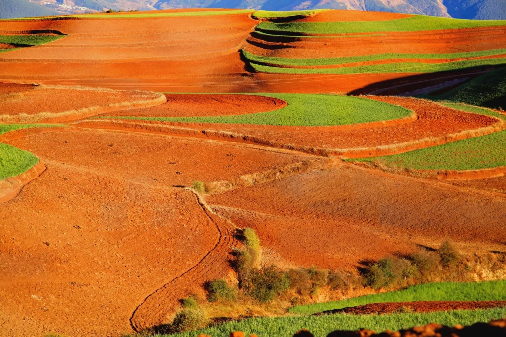 Red earth landscape