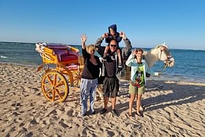 Horse Drawn Carriage 3 Hours with BBQ dinner at the Desert, transfer - Hurghada 