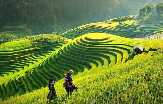 Sapa Trekking 2Days – 1Night By Bus
