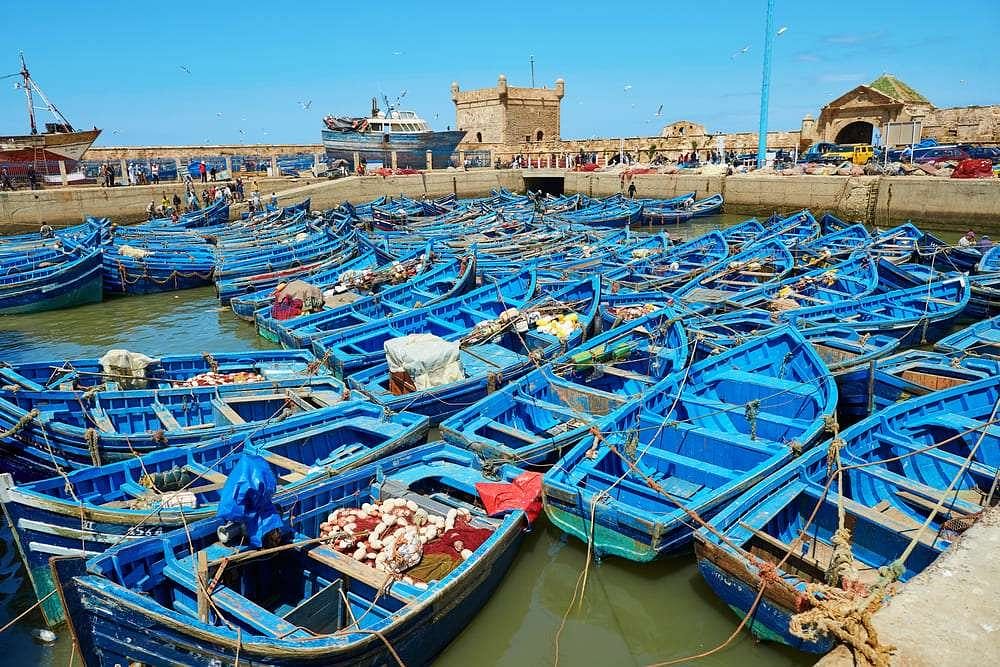 Guided Day Trip to Essaouira: Explore Historic Forts & Coastal Charm