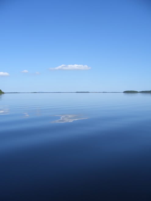 Wild brown trout fishing on Lough Corrib, 2 fishermen. Galway. Private guided. 8