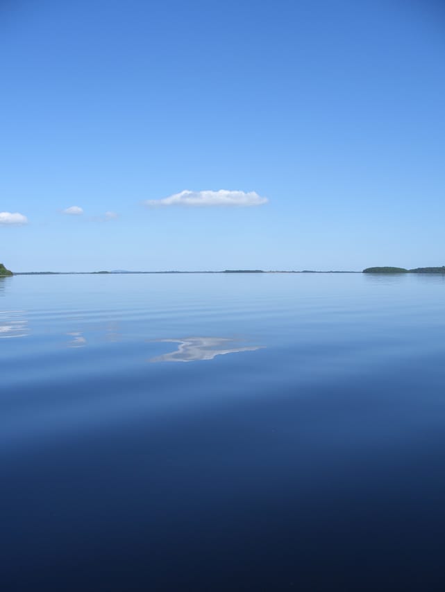 Wild brown trout fishing on Lough Corrib, 2 fishermen. Galway. Private guided. 8