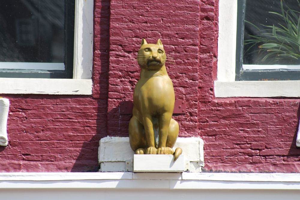 Close up of a statue on a facade at De Brol during the self-guided city game by Qugato in Leeuwarden.
