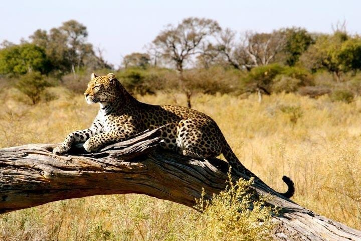 Samburu National Reserve