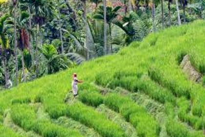 Wasgamuwa Sfari Tour – 03 Days