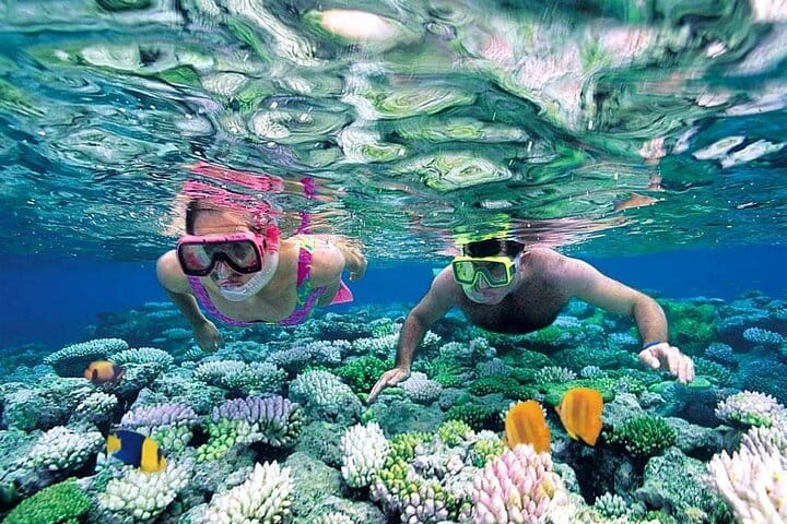 Cancun 5 in 1 Snorkeling Tour: MUSA, Shipwreck, Reefs & Cenotes 8