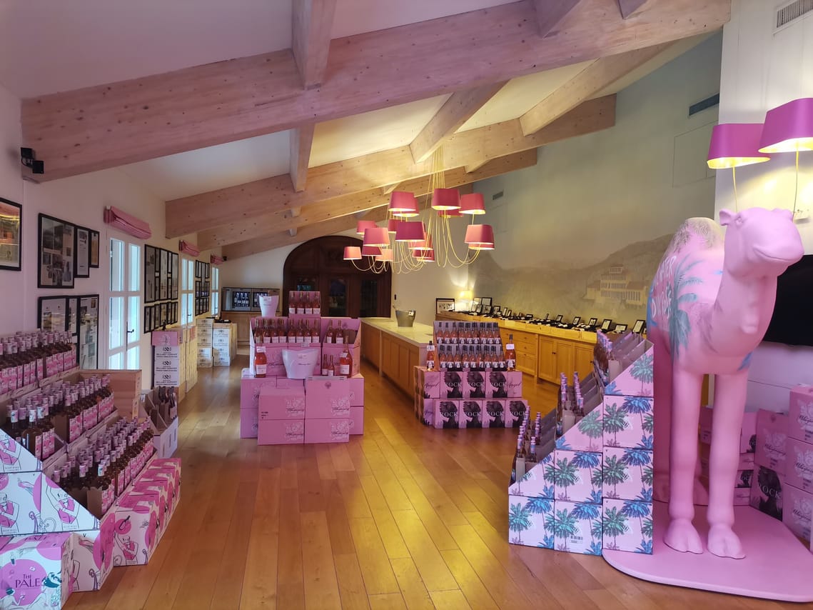 Wine tour in Saint tropez country side - AOP Côtes de provence 5