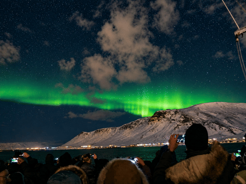 Green and purple Northern Lights stretching across the night sky during a boat tour from Reykjavík.