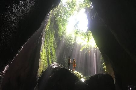 Private Bali Tour: Discover Stunning Waterfalls, Temples & Monkeys