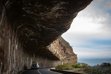 Robben Island and Peninsula Tour Including Fees