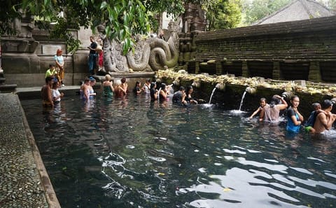 Tirta Empul Water Purification Tour in Ubud, Indonesia