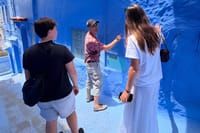 Chefchaouen Blue City Full-Day Tour from Tangier with Local Guide 3