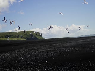Private Black Beach Buggy Tour , photo 9