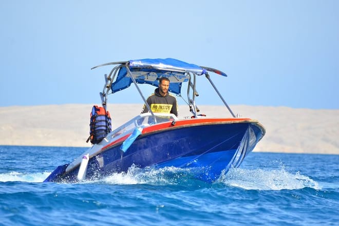 Swim With Dolphin By small-group Speedboat &amp; Transfer - Hurghada