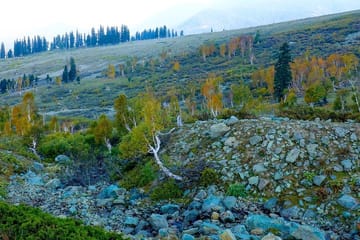 Jammu and Kashmir Valley Cultural and Nature Tour