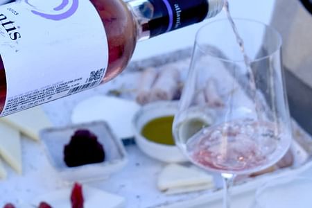 Santorini Private Wine Exprerience : 3 Wineries & Local Snacks