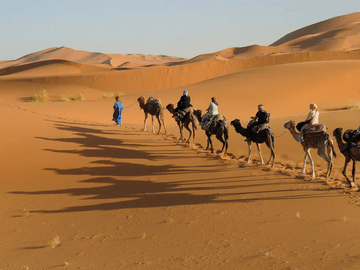 4-Day Desert Adventure from Marrakech to Fez via Merzouga