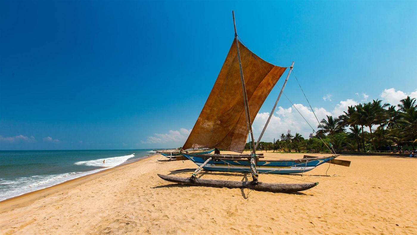 Negombo Seafood Adventure: Fish Market, Lagoon Safari & Beach Fun