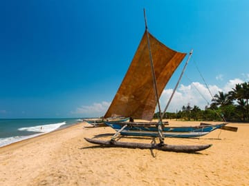 Negombo City Tour with Market Visits and Lagoon Exploration