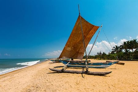 Negombo Seafood Adventure: Fish Market, Lagoon Safari & Beach Fun