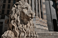 1.5 Hour Food Guided Tour & Sightseeing in Genoa 5