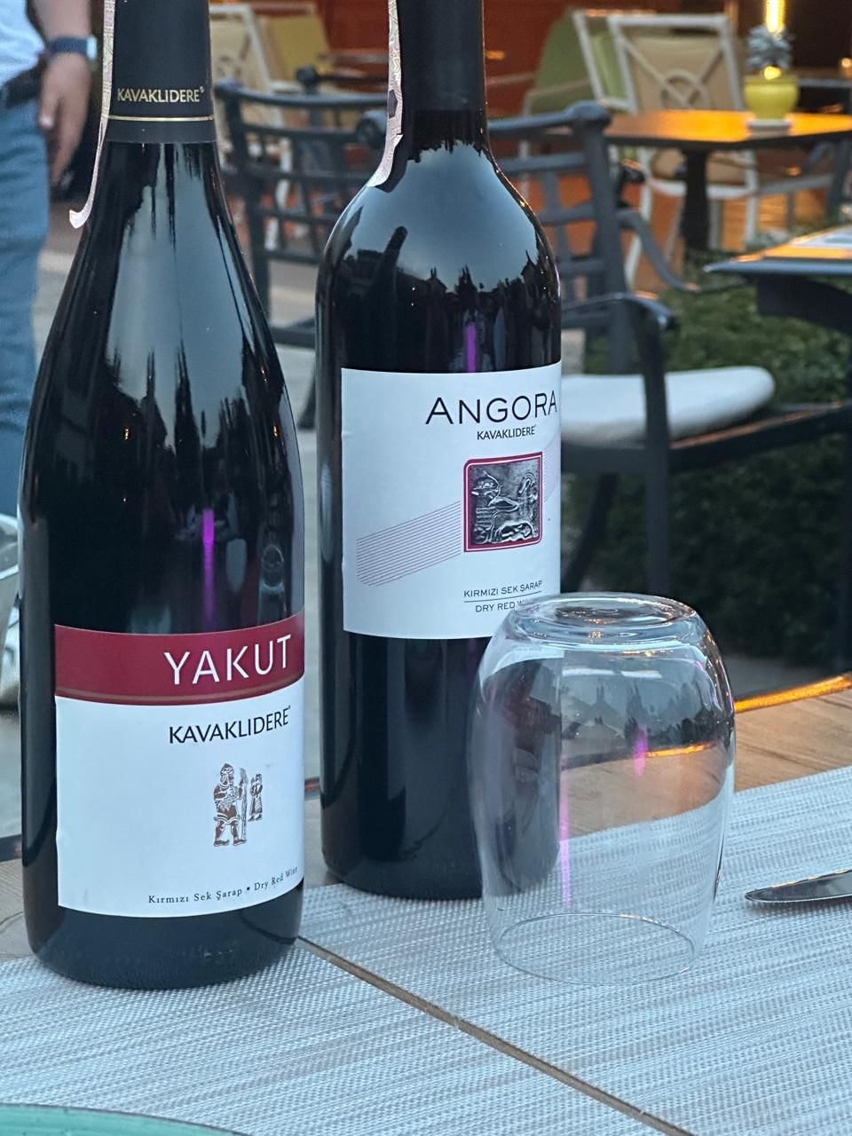 “Close-up of Turkish Yakut and Angora grapevines with ripe grapes hanging from the vines in a vineyard.”