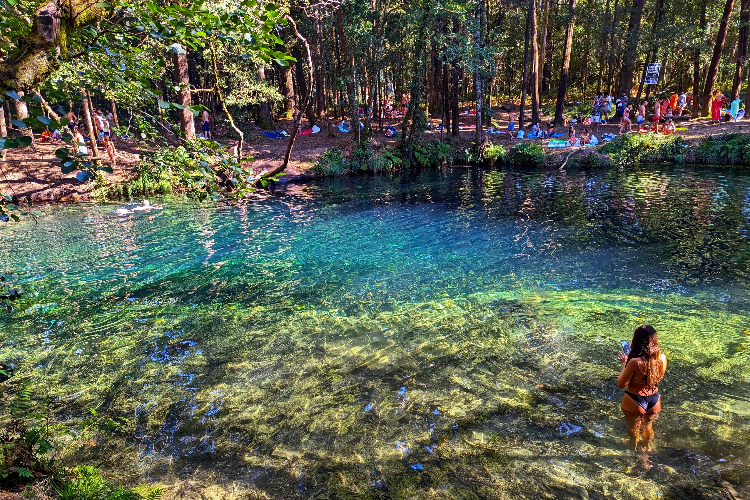 Ponte Lima, Viana do Castelo & Traditional Lunch