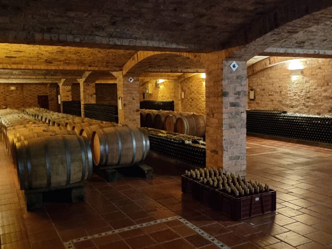 Bodega Barriles de Vino