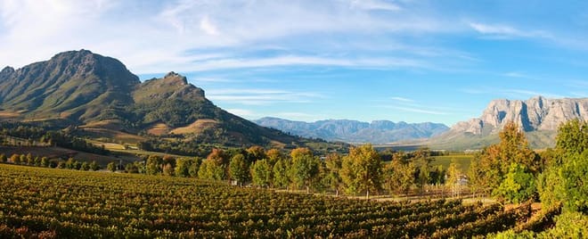 Full Day Cape Winelands photo 6