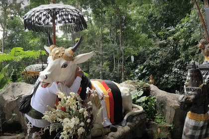 Jatiluwih : Spiritual Journey of Melukat with Rice Terrace View