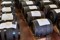 FullDay Super Cars, Parmesan, Balsamic Day Tour+Lunch 3