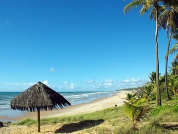 Four-Day Cultural Tour of Salvador de Bahia, Brazil