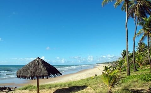 Four-Day Cultural Tour of Salvador de Bahia, Brazil
