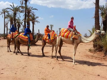 Camel Ride Tour in Marrakech with Berber Lifestyle Insights