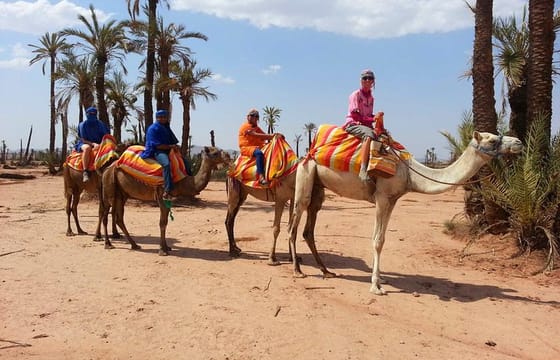Marrakech activities: Camel ride tour Marrakech