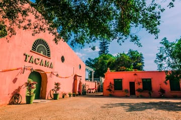 Pisco and Wine Tasting Tour in Ica, Peru