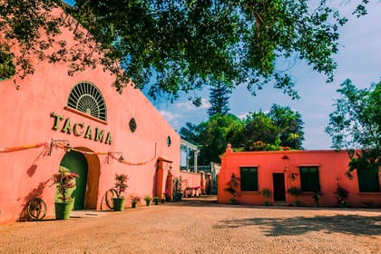 Ica-03 : Pisco and Wine Tasting Tour – Embarking on the Pisco Route