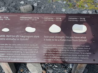 Private deutschsprachige Snæfellsnes Tagestour ab Reykjavík mit Luxus-Van, photo 13