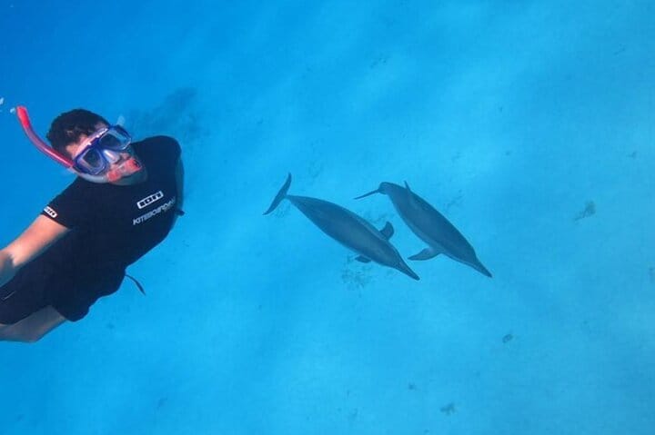 Snorkeling with Dolphins & Lunch In Sataya Reefs From Marsa Alam