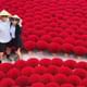 Small Group Of 9 Tour From Hanoi to Incense Village and Ninh Binh