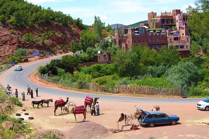Full Day Private Berbere Experience in High Atlas