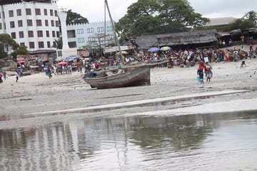 Private Bagamoyo Day Trip with Lunch