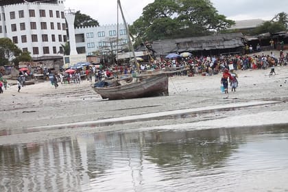 Private Bagamoyo Day Trip with Lunch